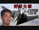 野獣先輩F-117説