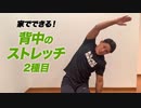 【1分ストレッチ】自宅やオフィスでできる！背中のストレッチ【ビーレジェンド プロテイン】