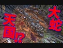 【Bloodborne】｜高難易度ブラッドボーン｜大蛇天国｜【初見実況】part36