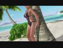 グラビアパラダイス エレナ
