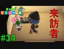 【実況】捻くれ者の無人島生活【あつまれ　どうぶつの森】３４日目