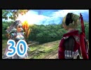 【実況】ゼノブレ世界を堪能しながらクリアを目指すpart30【xenoblade】