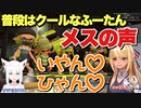 普段はクールなフレア姉御のメスの声がかわいい【不知火フレア/白上フブキ】