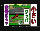 【マリオカート】小さいクッパで１位とる(とれない)