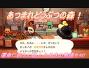 【あつ森】前人未島へようこそ！#40【あつまれどうぶつの森】