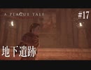 【A PLAGUE TALE 】 #17  ルカ暴走しすぎ！！