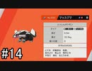 【実況】トレーナー戦闘を全て目隠ししたらクリアできるの？part14【ポケモン盾】