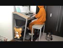 アイネクライネ　エレクトーンで弾いてみた