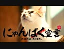 ACｼﾞｬﾊﾟﾝ にゃんぱく宣言 CM