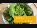 【春の味覚】ふきのとうの天ぷら風 簡単料理 おうちごはん