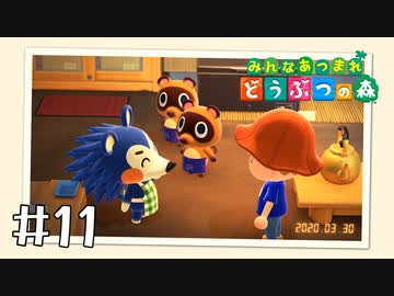 【実況】みんなあつまれ どうぶつの森 #11