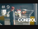 #9【CONTROL】今回の癒しネコ