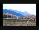 Nikon　D1X　安曇野市４月下旬　１