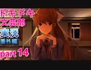 【ドキドキ文芸部】何もわからない私がハーレム文芸部に入部する　番外編14 【実況】