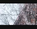 本日採用記念！　DJ　KOO（trf）文化放送「音楽で日本をアゲる！！」／ZATSUDANic　NATIVE