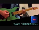 WANDS / 世界が終るまでは...【弾いてみた】