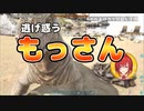 突然の襲撃にわちゃわちゃするアンジュ【アンジュ・カトリーナ/にじさんじ】