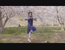 【華】HEART WINGS✿中国風アイドルで踊ってみた✿