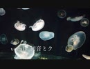 do／ feat.初音ミク