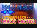 釣り好きのおっさんが　 他の楽しみを探してみた件  ～第2暇～ 「MAGIC CACTUS（マジックカクタス）」