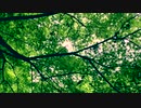【NNIオリジナル】セイメイ【インスト】