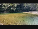 伊勢神宮内宮を流れる五十鈴川（2020年3月20日）