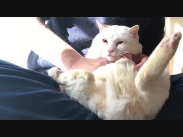 傷ついた宝石、その輝きを取り戻す