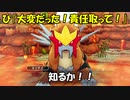ポケモンー不思議のダンジョン救助隊DX実況？　してみる41【炎の山に行く】