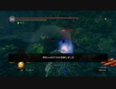 【ダークソウル】余り物処理な雑侵入