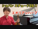 ショパン エチュード25-1「エオリアンハープ」をヴァイオリンで演奏してみた