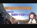 僕らはGWに夢を見る [2019GW] 2日目：弘前さくらまつり