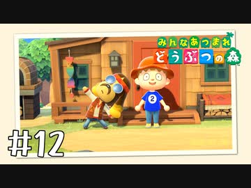 【実況】みんなあつまれ どうぶつの森 #12