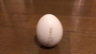 Egg
