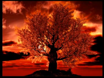 迫真ホラゲー部・らせんの宿の歩き方part13