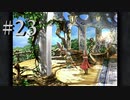 【２０周年】FF9実況プレイ #23