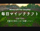 毎日マインクラフト -Day34- 枠組みが完成したので装飾していく