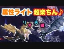 【MHWI】金銀　リオ夫婦　ソロより体力が低いから、より攻略が楽に！しかし散弾ヘビィで行くと...?【ゆっくり実況】#10