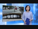 段ボールの棺桶・中国のエサと化したエクアドルの悲惨な末路