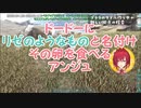 ドードーにリゼのようなものと名付け、その卵を食べるアンジュ【にじさんじ/アンジュ・カトリーナ】