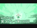 探し人を求めてwitcher3実況プレイ第190回