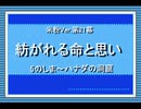 帰ってきたうｐ主が萌えもん(米粉最狂)をプレイしてみた　第21幕