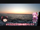 琴葉姉妹と行く釣行記録（海釣り編part8）