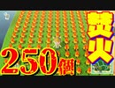 焚火250個で島評価が上げれると聞いて試した結果・・・【あつまれどうぶつの森】