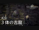 【MHW】双剣で一狩りいこうか【実況】#23/３体の古龍