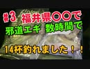 【#3 ヤリイカ爆釣】邪道エギを福井県○○で使ったら数時間で14杯！夜釣り最高ヤリイカ エギング 釣り遠征。