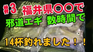 【#3 ヤリイカ爆釣】邪道エギを福井県○○で使ったら数時間で14杯！夜釣り最高ヤリイカ エギング 釣り遠征。