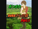 【あつまれ】わたくし、hokuがどうぶつの森の世界へと入ってみた。【どうぶつの森】Part.1