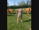 すべての生物が逃げる動き(平沢進)