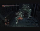 【ダークソウル3】コスプレ侵入クリップ供養