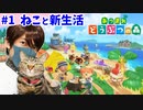 【あつ森】#01 猫とおじさんが無人島に移住する動画【あつまれどうぶつの森】